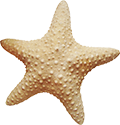 star