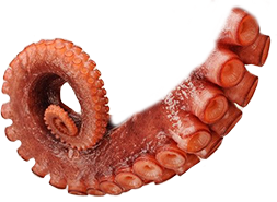 devilfish